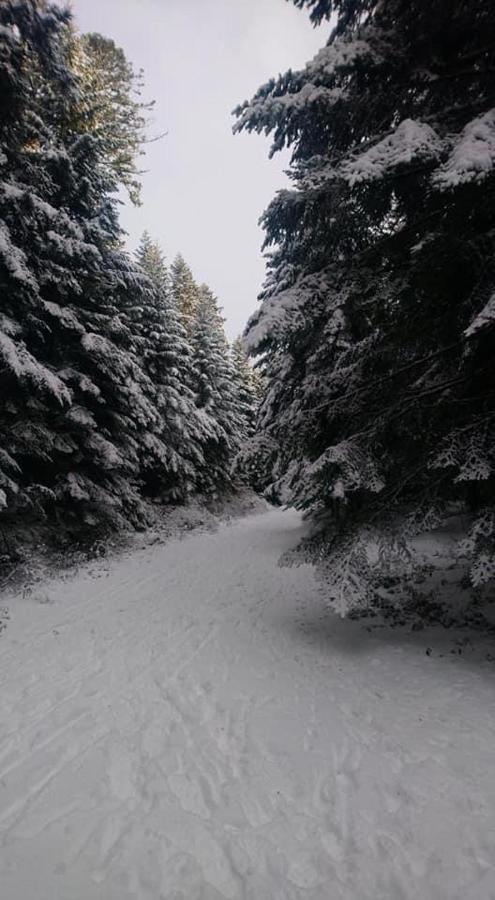 Auberge De Thelis Bagian luar foto