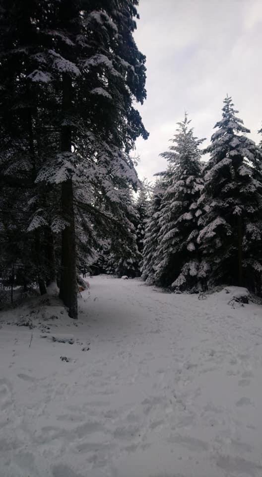 Auberge De Thelis Bagian luar foto
